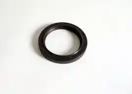 Oil Seal
