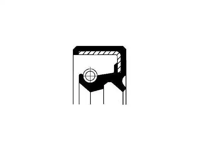Oil Seal