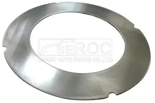 Friction Disc