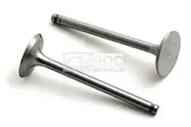 Valve-Inlet