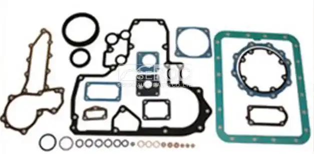 Lower Gasket