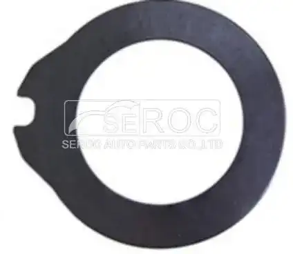 Friction Disc