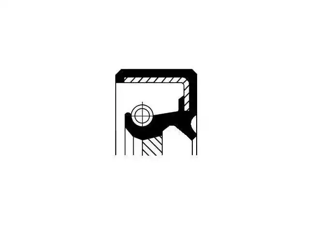 Oil Seal