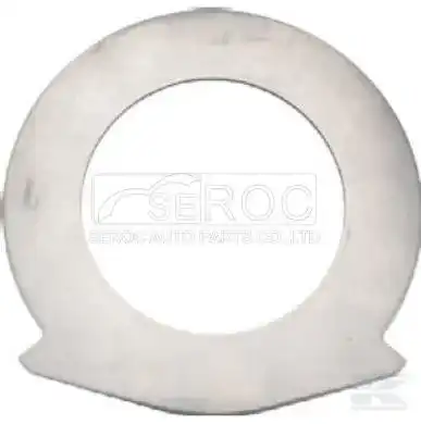 Friction Disc