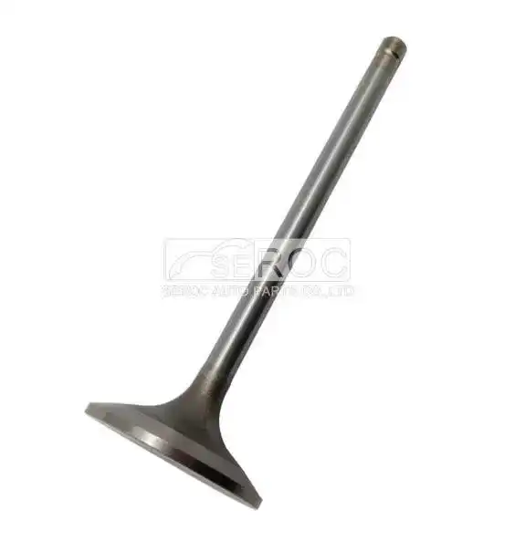 Valve-Inlet