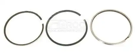 Piston ring