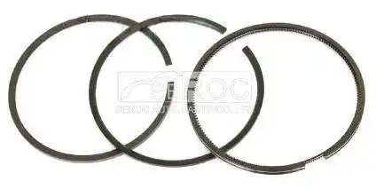 Piston ring