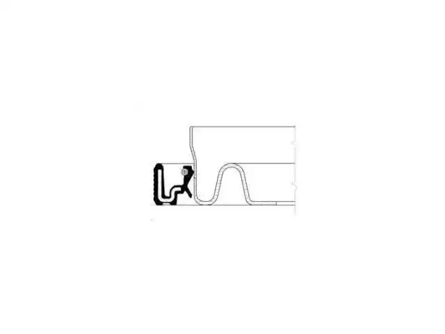 Oil Seal