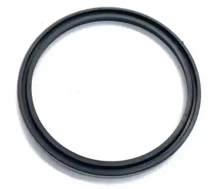 Oil Seal
