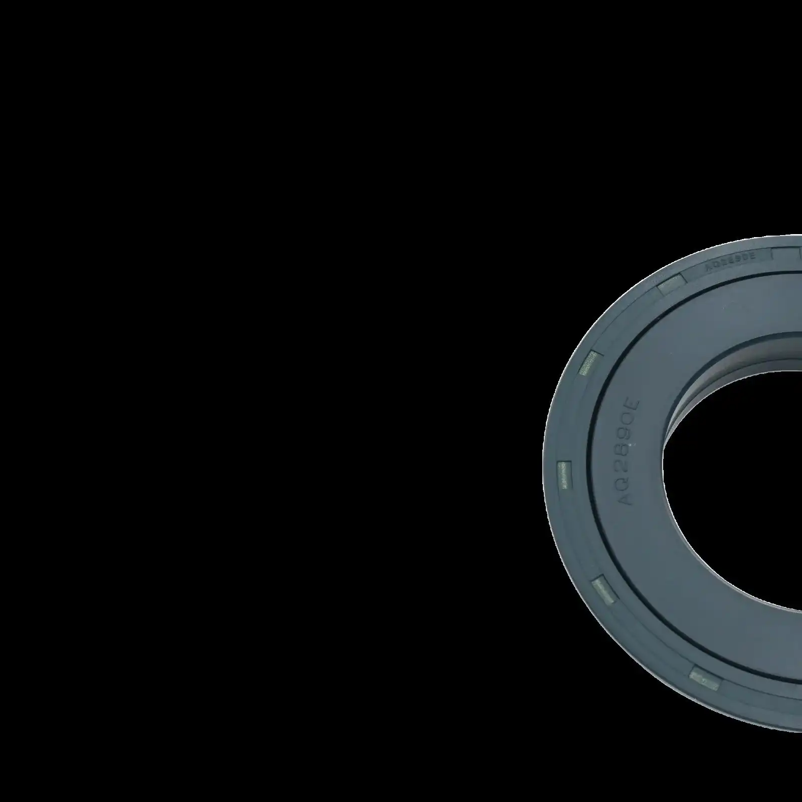 Oil Seal