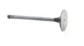 Valve-Inlet